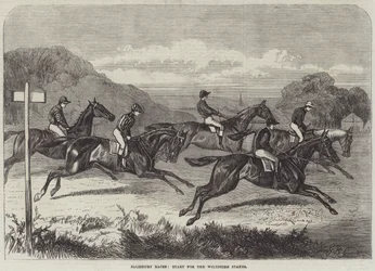 Carreras de Salisbury, Inicio de las Wiltshire Stakes